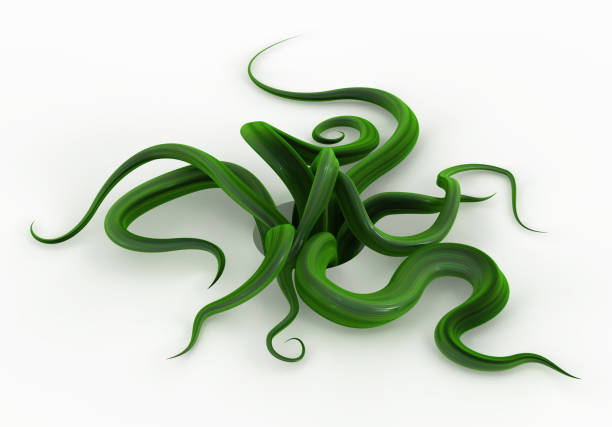 Plant vines green growing hole emerge bunch, 3d illustration, horizontal, isolated, over white