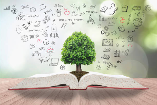 istock Tree of knowledge and life growing on soil from big archive open textbook with creative freehand doodle drawing on wooden table 984519666