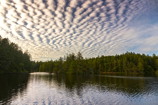 Dramatic Sky Cloudscape Reflections in Thetis Lake Provincial Park on Vancouver Island near Victoria, British Columbia Canada