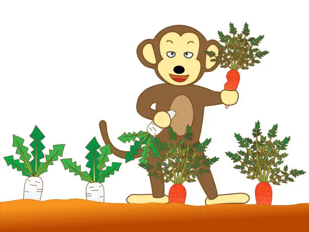 Free monkey bean Vector Images & Graphics | Page 2 | FreeImages