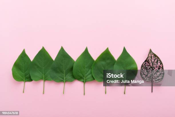 Leiter Team Konzept Mit Blättern Und Hervorragenden Stockfoto und mehr Bilder von Gegen den Strom