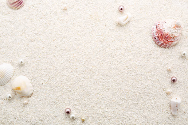 istock Summer frame of seashells & pearls on white beach sand. 984548878