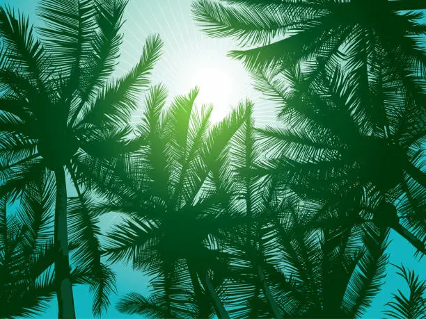 Vector illustration of Dark dreen palm trees