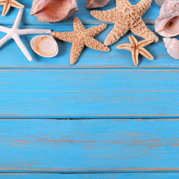 istock Tropical beach summer starfish background border 984571650