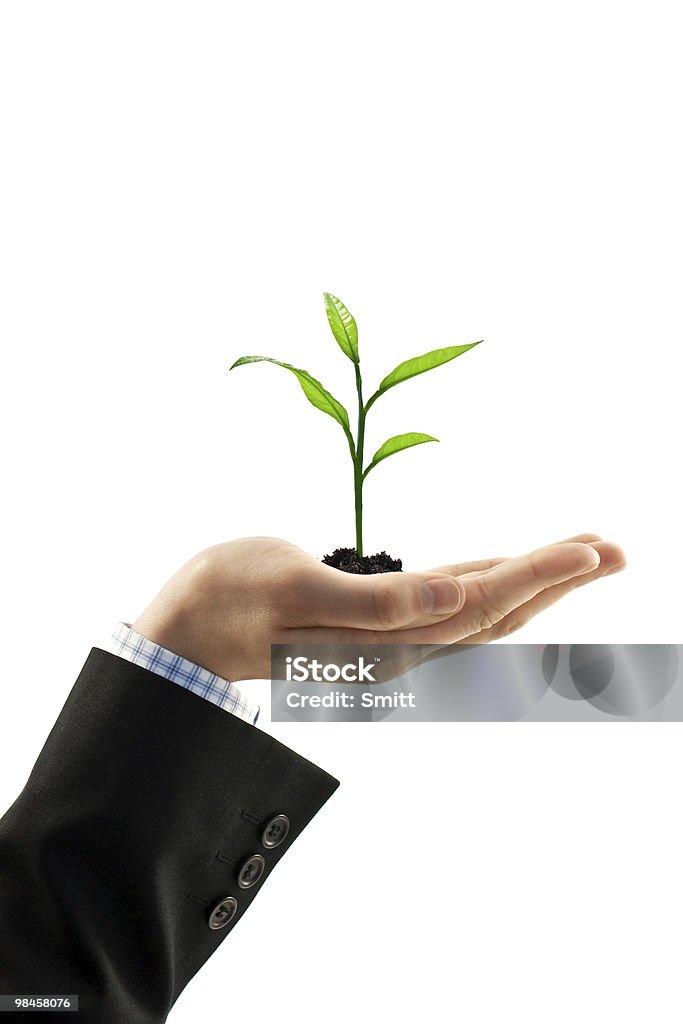 plant  Agriculture Stock Photo