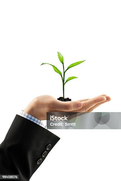 Plant Stock Photo - Download Image Now - Agriculture, Business, Businessman