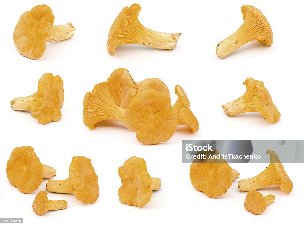 Cogumelos chanterelles - Foto de stock de Alimentação Saudável royalty-free
