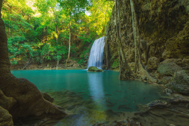 istock Waterfall in Deep forest at Erawan waterfall National Park 984585750
