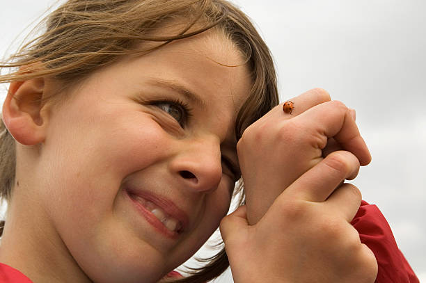 My son had a ladybug (ladybird) land on his hand on a walk at the weekend so I grabbed my camera.