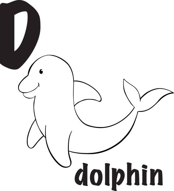 920+ Dolphin Coloring Page Stock Photos, Pictures & Royalty-Free Images ...