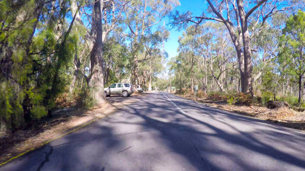 istock Vehicle POV, driving through Mount Lofty Summit, Adelaide Hills South Australia 984602710