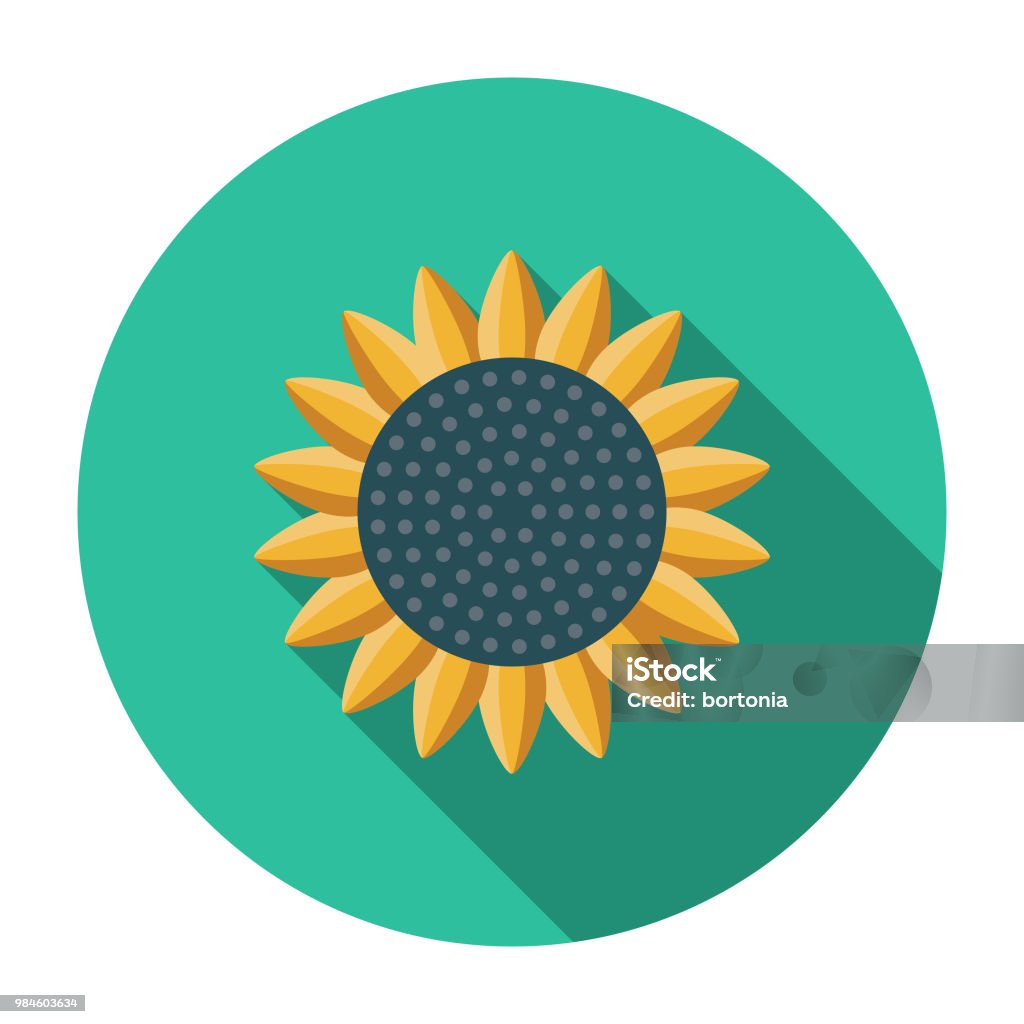 Sunflower Flat Design Agriculture Icon A flat design styled agriculture icon with a long side shadow. Color swatches are global so it’s easy to edit and change the colors. File is built in the CMYK color space for optimal printing. Sunflower Seed stock vector