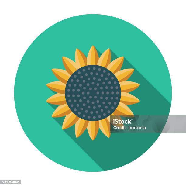 Sunflower Flat Design Agriculture Icon Stock Illustration - Download Image Now - Sunflower Seed, Agricultural Equipment, Agriculture