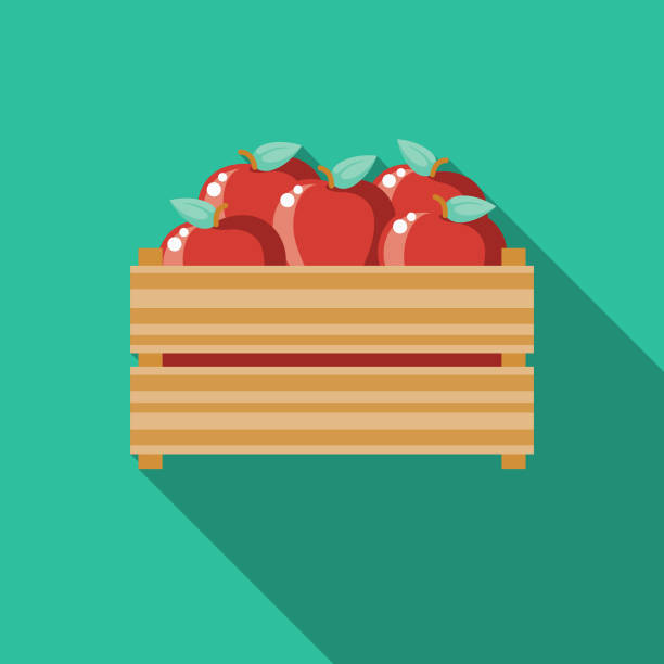 Apples Flat Design Agriculture Icon A flat design styled agriculture icon with a long side shadow. Color swatches are global so it’s easy to edit and change the colors. File is built in the CMYK color space for optimal printing. wood box stock illustrations