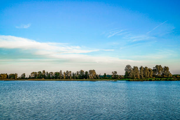 istock View of trees across a river 984611714