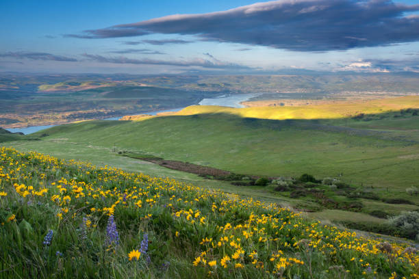 istock Columbia hills state park, Washington 984615108