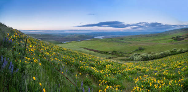 istock Columbia hills state park, Washington 984615238