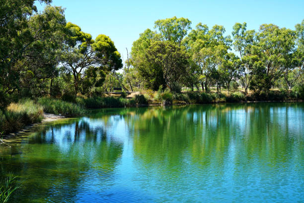 istock Large pond in natural Australian bush setting 984615958