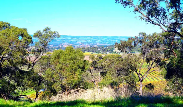 Scenic hilltop views of South Australian McLaren Vale winery region, and surrounding gardens.