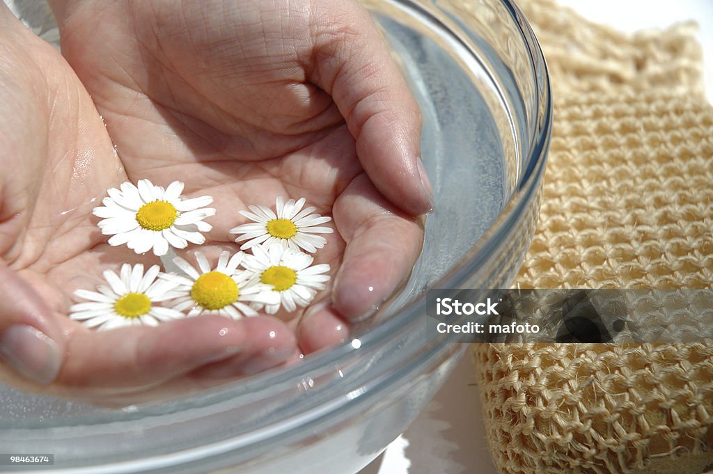 Homeopatía, chamoline manos - Foto de stock de Aire libre libre de derechos