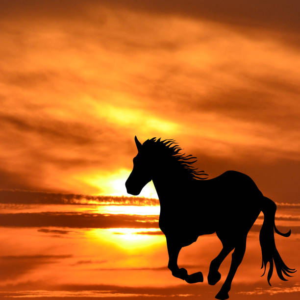 istock Silhouette of horse galloping 984653998