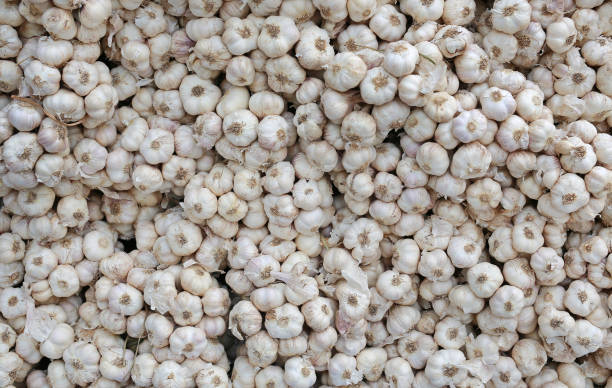 istock Garlic background on market stand. 984656526