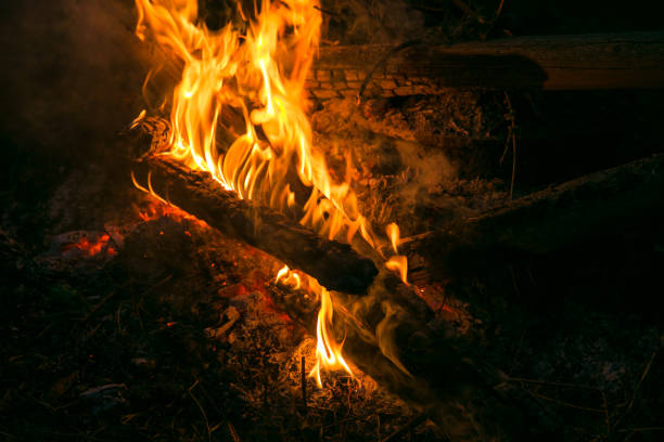 istock Bonfire at wood, red lights and burn billet. 984657722