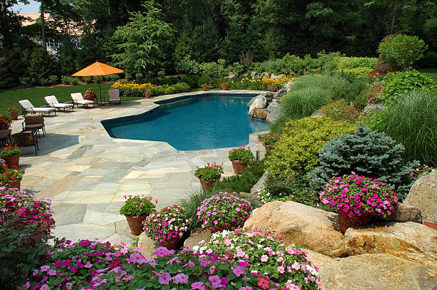 istock Swiming Pool With Pretty Gardens 98466773