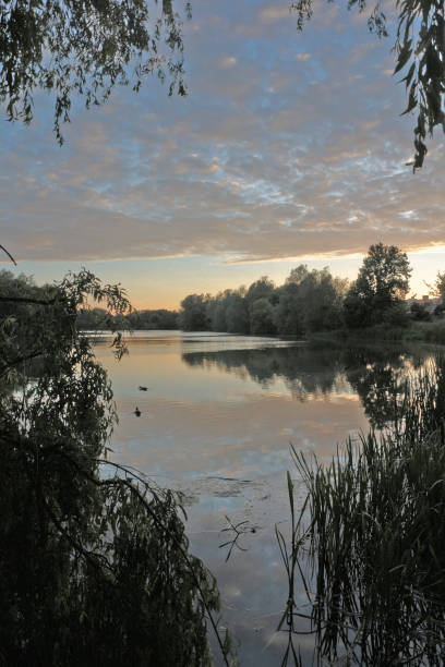 istock Norwich UEA University Lake England 984669642