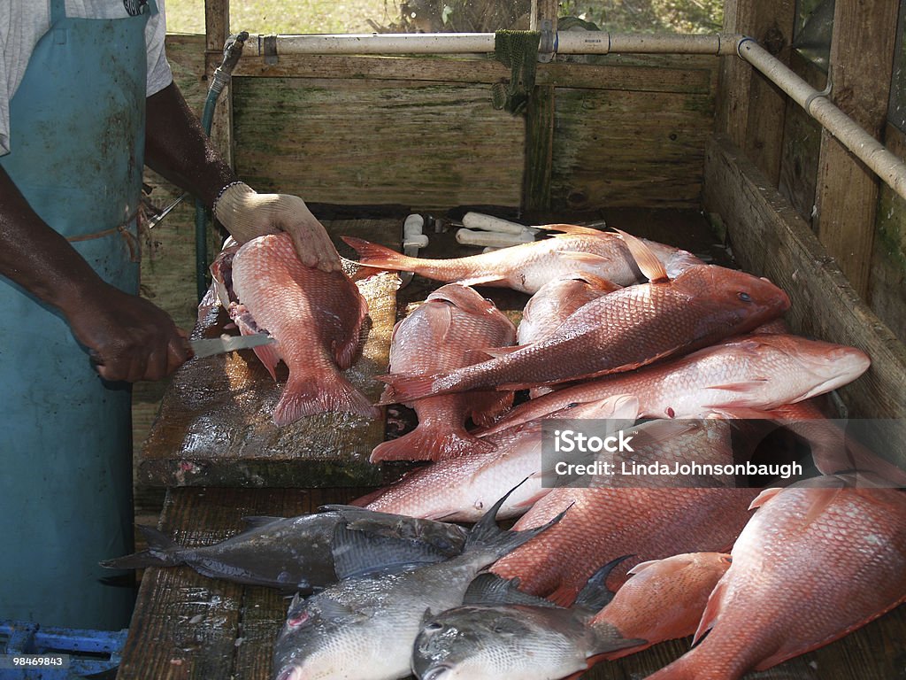 Reinigung, wie der Fischer - Lizenzfrei Fischer - männlich Stock-Foto