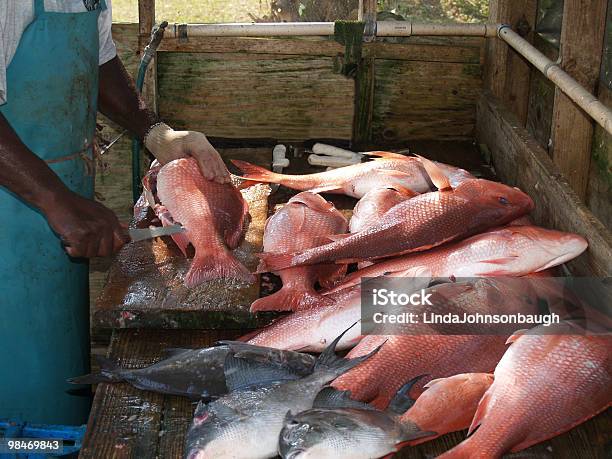 Reinigung Wie Der Fischer Stockfoto und mehr Bilder von Fischer - männlich - Fischer - männlich, Florida - USA, Bucht