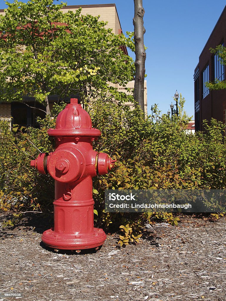 Red Fire Hydrant vicino a un centro commerciale - Foto stock royalty-free di Ambientazione esterna