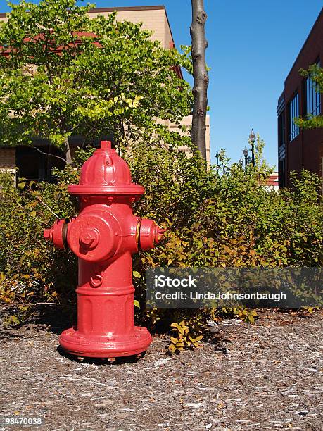 Red Fire Hydrant Vicino A Un Centro Commerciale - Fotografie stock e altre immagini di Ambientazione esterna - Ambientazione esterna, Autunno, Cespuglio