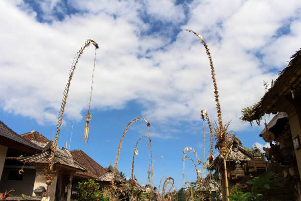 Around Penglipuran village, one iconic traditional Balinese neighborhood stock photo
