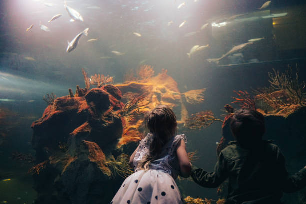 istock Kids discovering underwater world 984741282