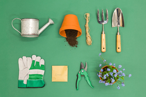 A flat lay arrangement of Gardening equipment on a green background