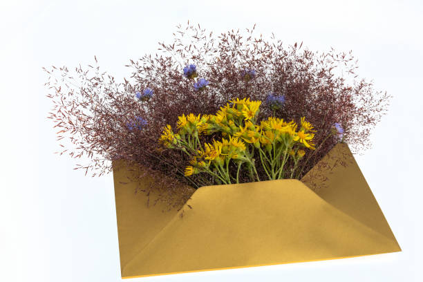 opened envelope with meadow flowers arrangements on whitek background, top view. festive greeting concept - whitek imagens e fotografias de stock