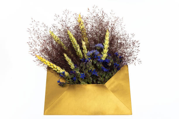 opened envelope with meadow flowers arrangements on whitek background, top view. festive greeting concept - whitek imagens e fotografias de stock