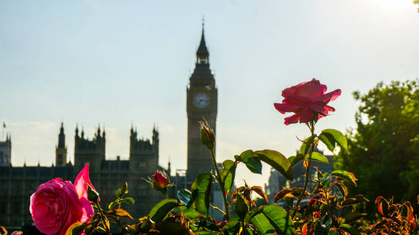 istock Big Ben behind a vibrant flower garden 984748050