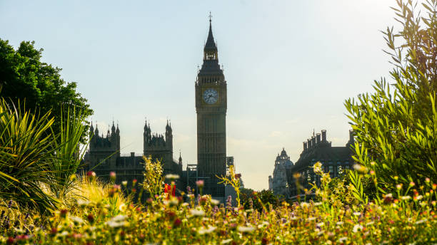 istock Big Ben behind a vibrant flower garden 984748070