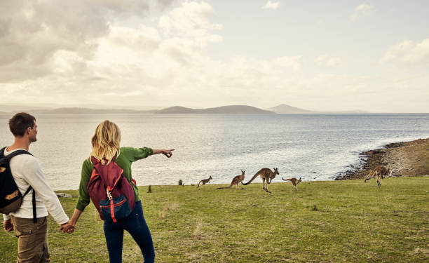 istock Nature has so much amazing things to see 984748190