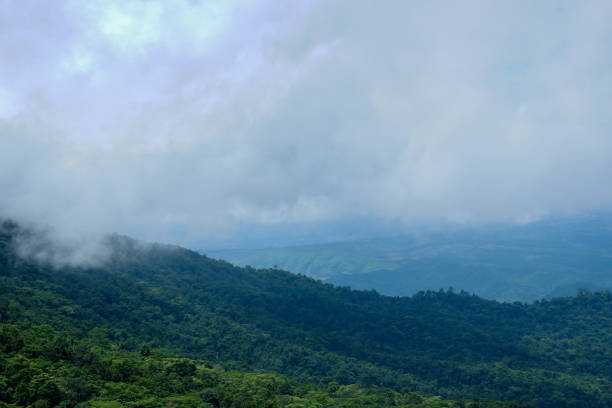 istock aerial view of forest and mountain 984748260