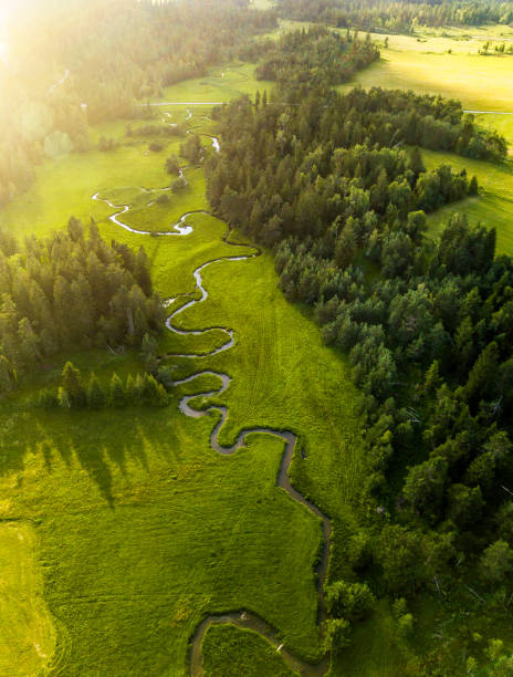 istock Aerial View of The Landscape 984768756