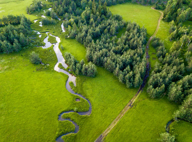 istock Aerial View of The Landscape 984770616