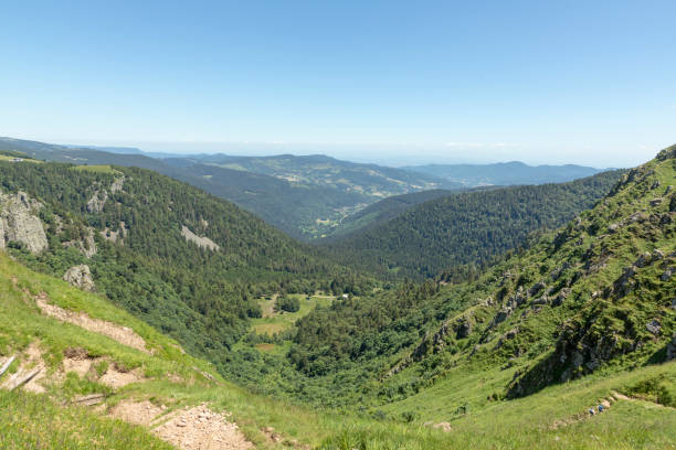 vertice le hoheneck all'haute du crete nella regione dell'alsazia in francia - stosswihr foto e immagini stock