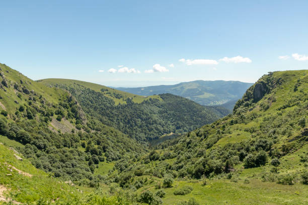 vertice le hoheneck all'haute du crete nella regione dell'alsazia in francia - stosswihr foto e immagini stock