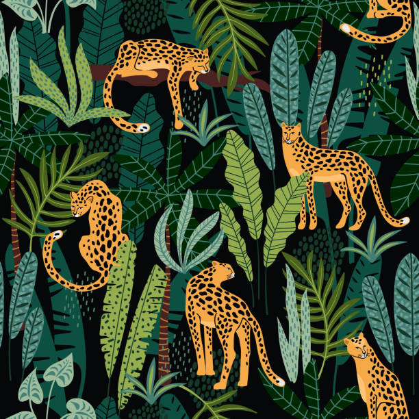 ilustraciones, imágenes clip art, dibujos animados e iconos de stock de patrón sin fisuras de vestor con leopardos y hojas tropicales. - tropical rainforest