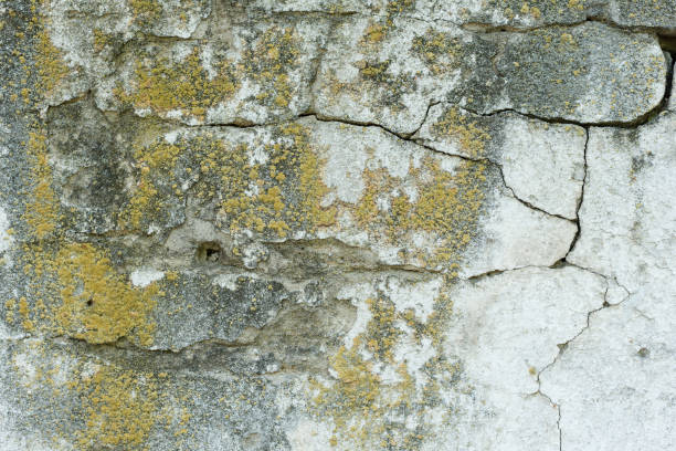 istock Wall fragment with scratches and cracks 984785936
