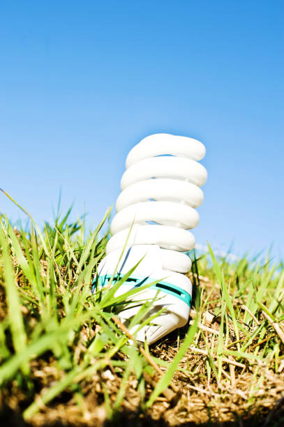 White Spiral Electric Lamp Bulb On Green Grass White Spiral Electric Bulb On Green Grass photodiode stock pictures, royalty-free photos & images