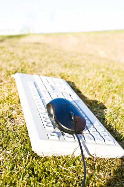 White PC Keyboard And Black Mouse On Green Grass White PC Keyboard And Black Mouse photodiode stock pictures, royalty-free photos & images